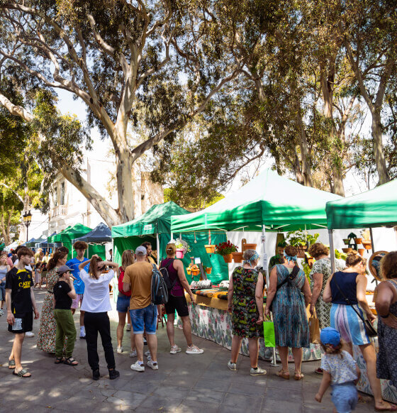 Mercado de Haría Artesanal