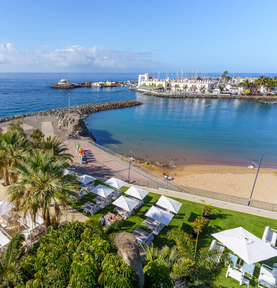 Cordial Muelle Viejo